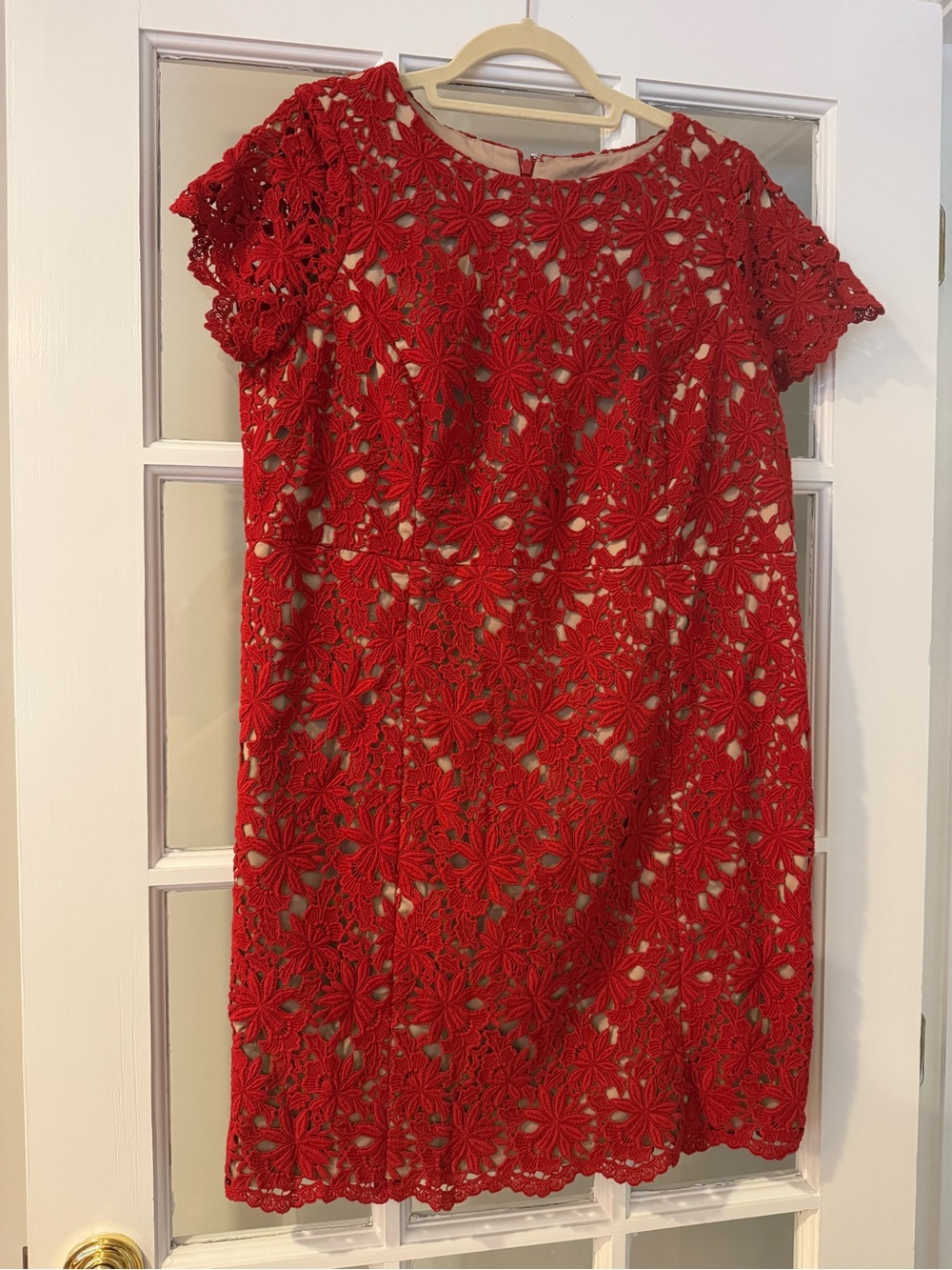 NWT Talbots Red Floral Lace Dress With Nude Lining 14WP